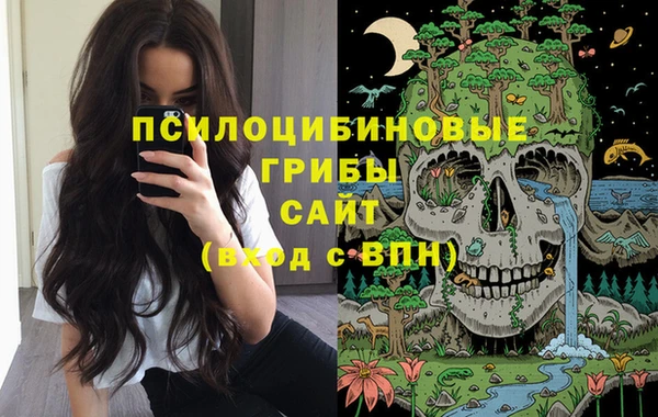 соль ск Покров