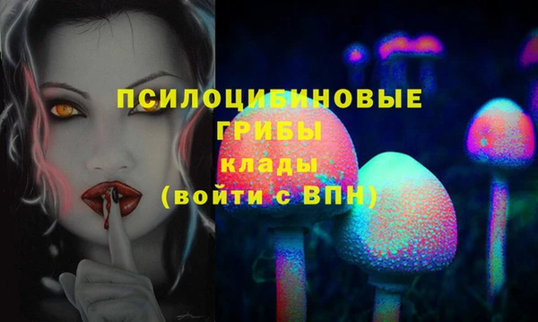 соль ск Покров