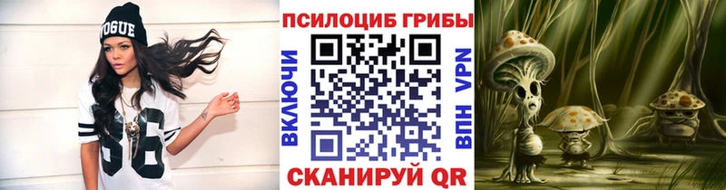 Псилоцибиновые грибы Psilocybine cubensis  Аксай 