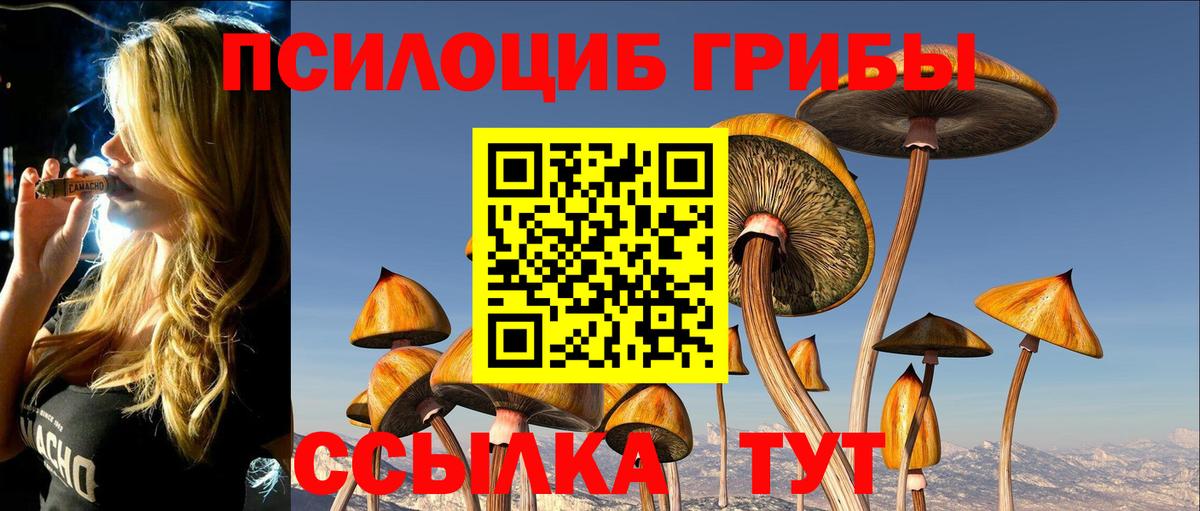 Псилоцибиновые грибы Psilocybe  Аксай 