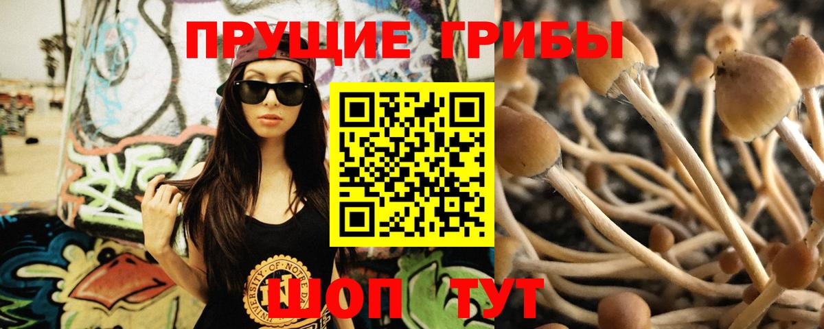 Псилоцибиновые грибы мицелий  Вход с VPN  Аксай 