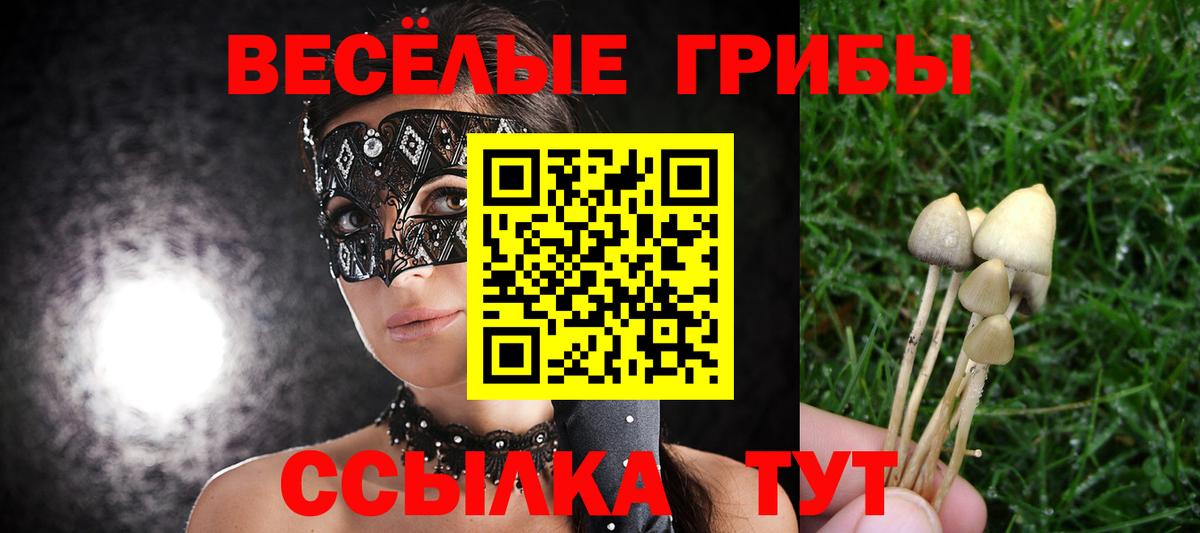 Псилоцибиновые грибы мицелий Аксай